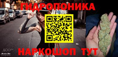 сатива Гусиноозёрск