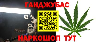 a pvp Гусев